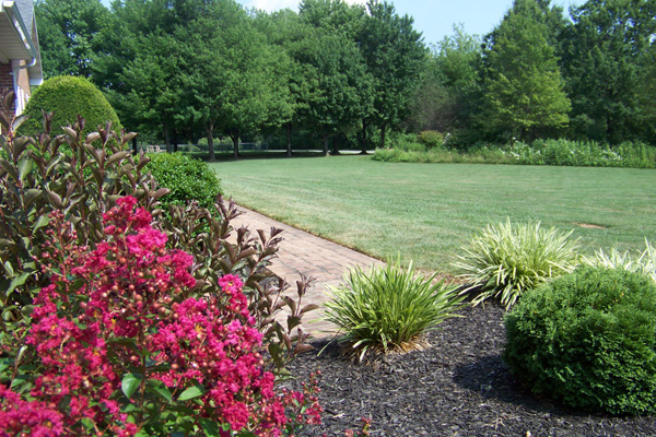 Add some color to your yard!