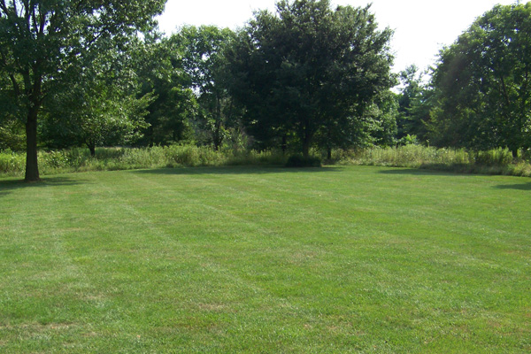 Keep your lawn looking it's best without the hassle of cutting it yourself.