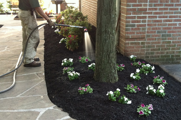 Add curb appeal and value to your home.