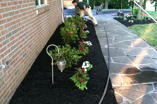 Whether it's revitalizing old beds, or creating new ones, our team will guide you every step of the way.