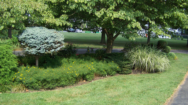 Maryland landscaping and lawn services