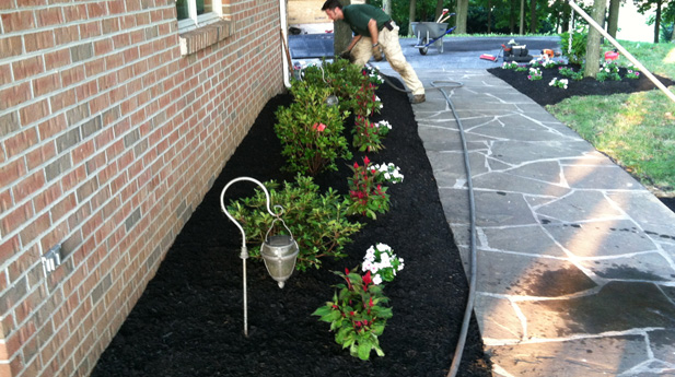 Maryland landscaping and lawn services